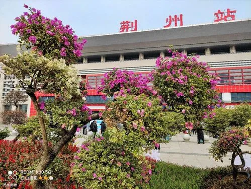 广州到荆州物流专线-广州至荆州专线-高效管控的服务
